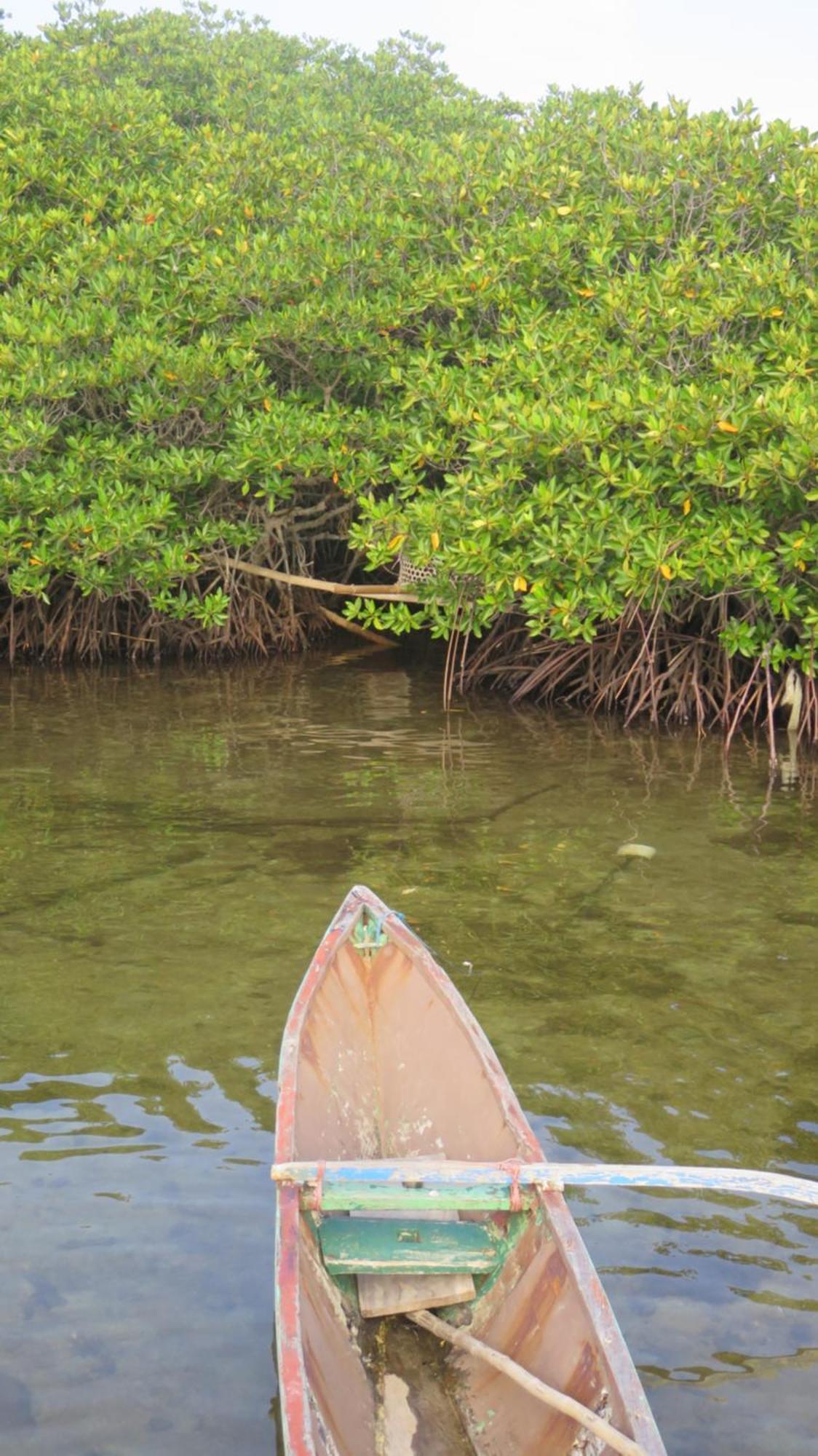 Mangrove Inn Karimunjawa Exterior foto