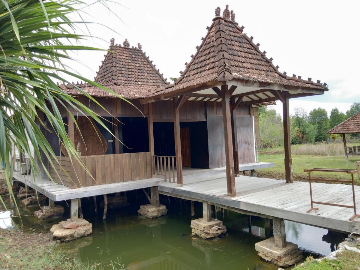 Mangrove Inn Karimunjawa Exterior foto